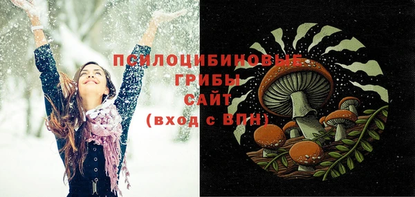 эйфоретик Богородск