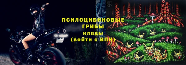 эйфоретик Богородск