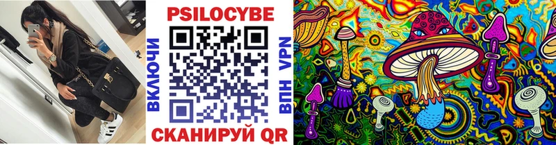купить наркоту  kraken онион  Псилоцибиновые грибы Psilocybine cubensis  Нюрба 